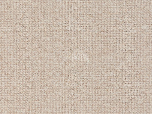 Ковролин Balta Brazil 640 фото 1 | FLOORDEALER